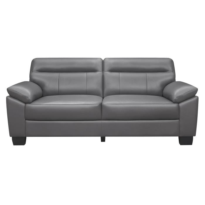 Denizen Sofa in Dark Gray 9537DGY-3 image