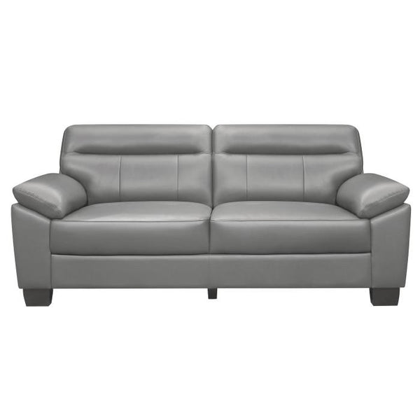 Denizen Sofa in Gray 9537GRY-3 image